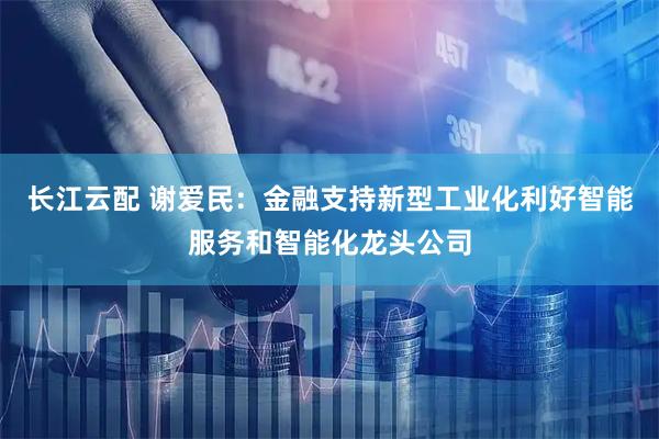 长江云配 谢爱民：金融支持新型工业化利好智能服务和智能化龙头公司