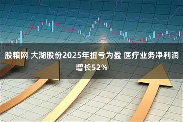 股粮网 大湖股份2025年扭亏为盈 医疗业务净利润增长52%