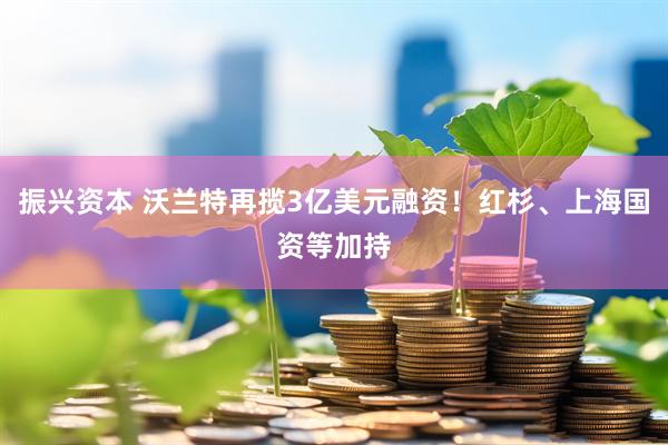 振兴资本 沃兰特再揽3亿美元融资！红杉、上海国资等加持