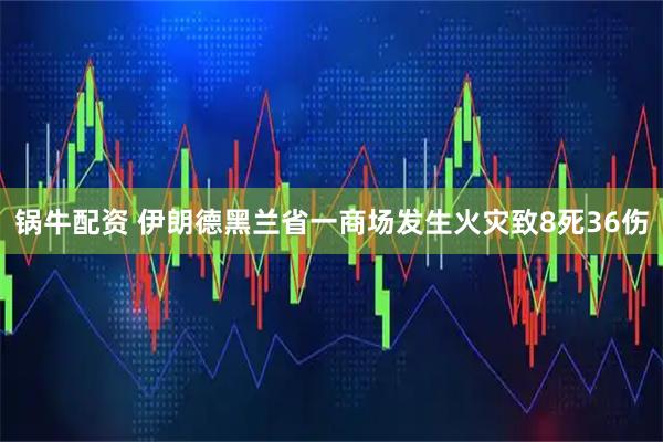 锅牛配资 伊朗德黑兰省一商场发生火灾致8死36伤