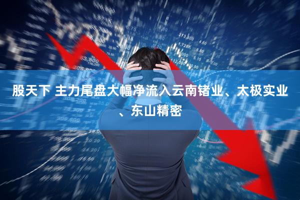 股天下 主力尾盘大幅净流入云南锗业、太极实业、东山精密